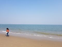 -巨鹏飞梦幻海岸
