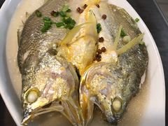 黄鱼鲞百叶结-旧款宁波饭店(华敏世纪广场店)