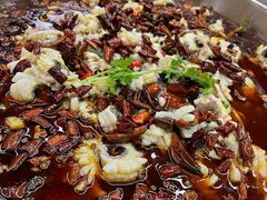 -重庆何乌鱼(南湖逸家店)