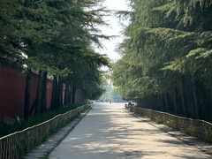 -洛阳白马寺