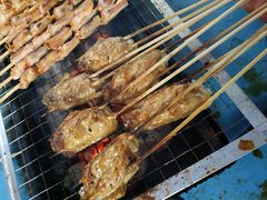 -南宁良凤江国家森林公园