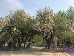 -石家庄市植物园