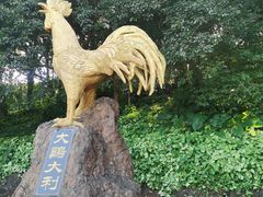-海口火山口国家地质公园