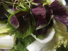-雷山鱼酱酸汤鱼·酸汤牛肉(花果园T1区店)