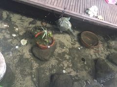 -泉乐坊步行街(烟酒特产平价超市店)