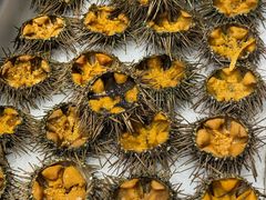 -好礼家海鲜•海肠捞饭大王(金沙滩念慈别墅店)