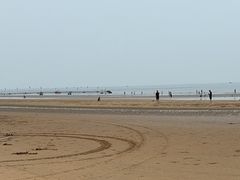 -日照海滨国家森林公园