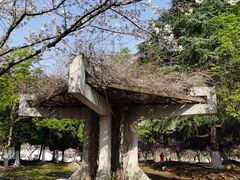 -白塘生态植物园