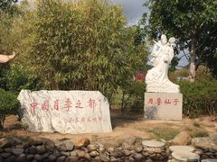 -亚龙湾国际玫瑰谷