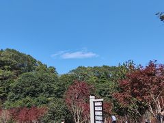 -广州市帽峰山景区