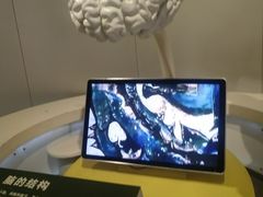 -陕西自然博物馆