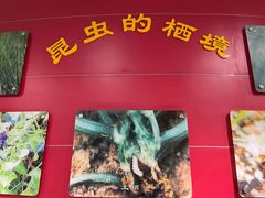 -上海昆虫博物馆