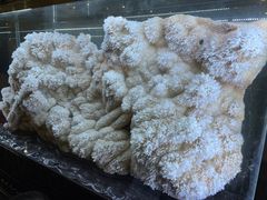 -湖南省地质博物馆