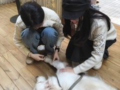 -咖法森林·咖啡  酒吧(天河店)