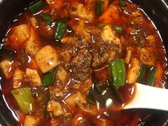 -陈麻婆豆腐总店