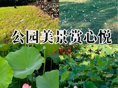 -文华公园(禅城区)