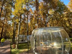 -黄海国家森林公园