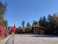 -五营红松林海景区