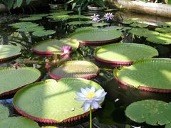 -国家植物园南园