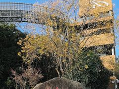 -梅峰山地公园