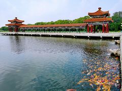 -南戴河国际娱乐中心