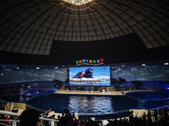 -泉城欧乐堡海洋极地世界