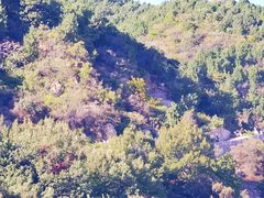 -北京西山国家森林公园