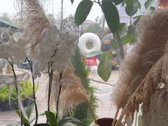 -考文甜品研究社