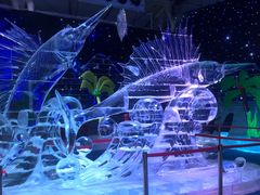 -宁波冰雪大世界(北仑区)