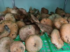 -山菌美食苑(振兴路店)