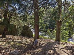 -溪口商量岗景区