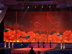 -南京奥林匹克体育中心-体育馆