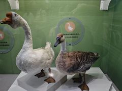 -国家自然博物馆