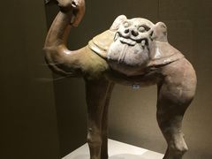 -宁夏博物馆
