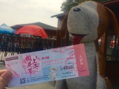 -南汇水蜜桃采摘(大团店)