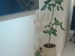 -脊美正骨·推拿·整脊(KKmall京基100店)