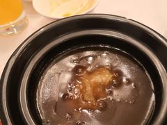 鱼翅捞饭-老洋房花园饭店(绍兴路店)