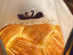-BLACKSWAN黑天鹅(环球店)