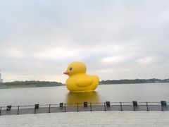 -深圳人才公园