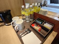 -新加坡雅庭假日酒店
