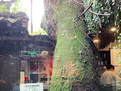 -星巴克(杭州北山路店)