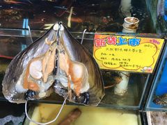 -蚝专家(北滘店)