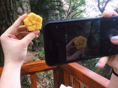 -终南山南五台景区