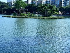 -西湖公园(鼓楼区)
