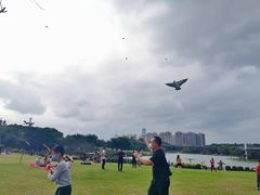 -东莞植物园