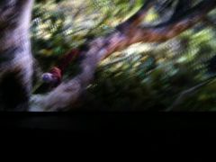 -万达影城(潍坊万达广场IMAX店)