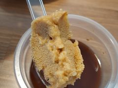 -海胆小馆(东北水饺·春柳店)