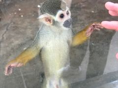 -石家庄市动物园