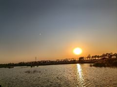 -南大港湿地风景区