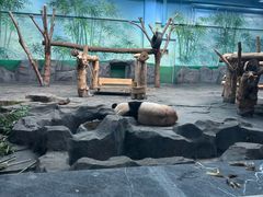 -秦皇岛野生动物园